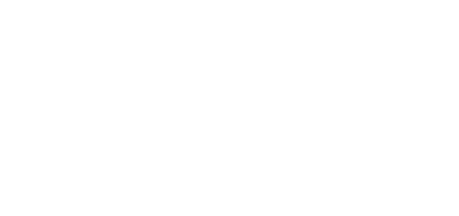 Dibaccy Logo